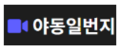 야동일번지