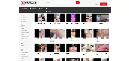 안전지대